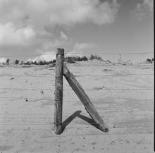 Afbeelding in Gallery-weergave laden, Not sold out, email for info how to order | Hasselblad 503CX + CF 80mm 2.8 T* + A12